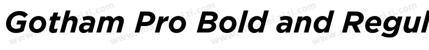 Gotham Pro Bold and Regular字体转换